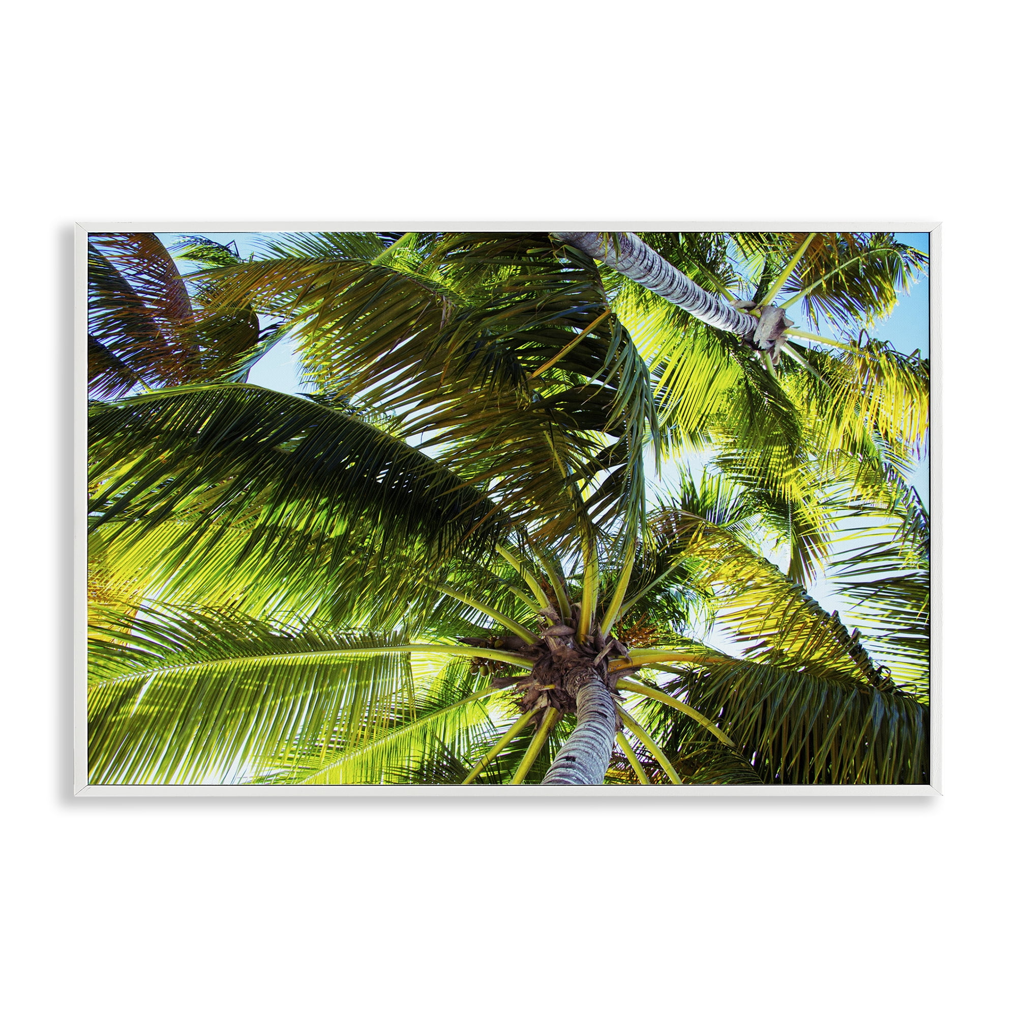 Stupell Industries Swaying Palm Leaves Botanical & Floral Photography White Framed Art Print Wall Art, 24 x 16