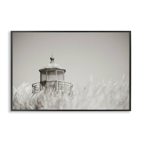 Stupell Industries Swaying Reeds & Lighthouse Landscape Photography Black Framed Art Print Wall Art, 18 x 12