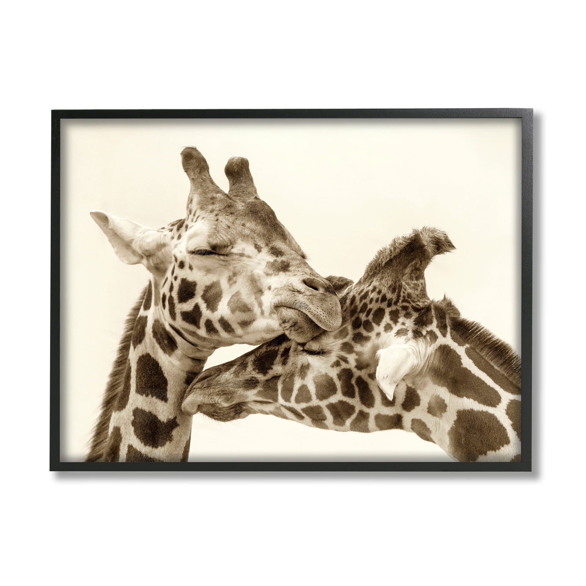 Stupell Industries Sweet Cuddling Giraffes Sepia Wildlife Photography Portrait Photograph Black Framed Art Print Wall Art, Design by Carrie Ann Grippo-Pike