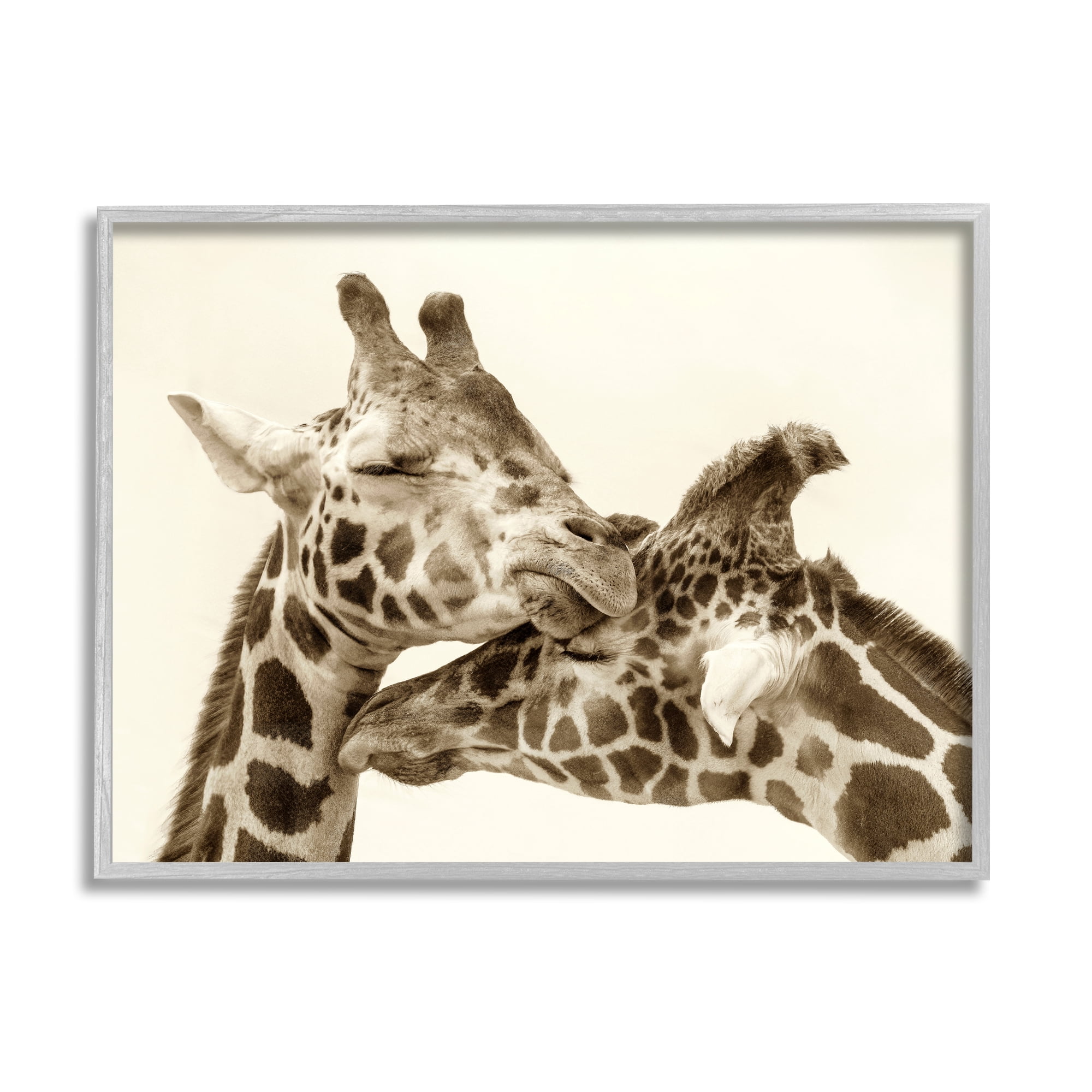 Stupell Industries Sweet Cuddling Giraffes Sepia Wildlife Photography Portrait Photograph Gray Framed Art Print Wall Art, Design by Carrie Ann Grippo-Pike