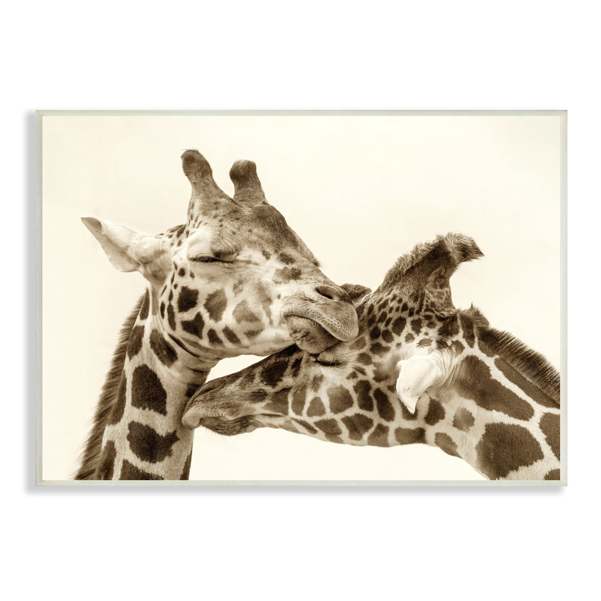 Stupell Industries Sweet Cuddling Giraffes Sepia Wildlife Photography Portrait Photograph Unframed Art Print Wall Art, Design by Carrie Ann Grippo-Pike