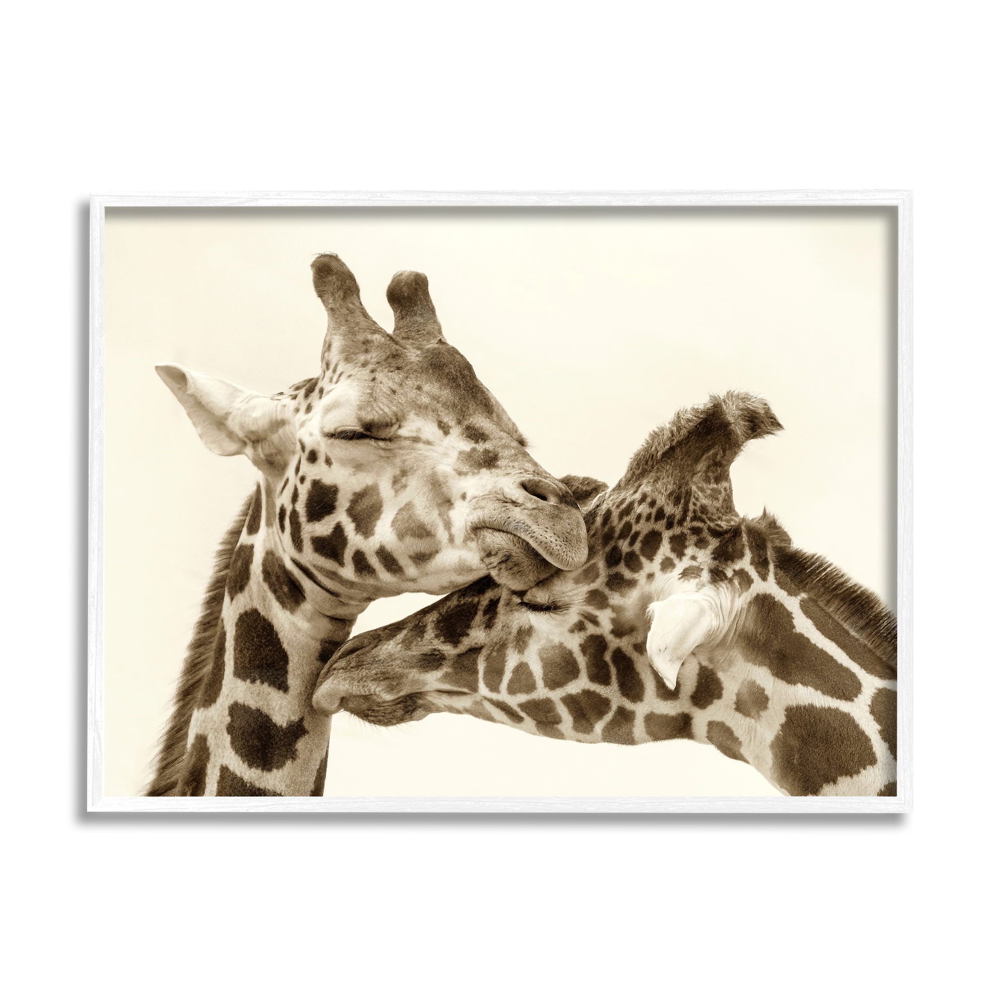 Stupell Industries Sweet Cuddling Giraffes Sepia Wildlife Photography Portrait Photograph White Framed Art Print Wall Art, Design by Carrie Ann Grippo-Pike