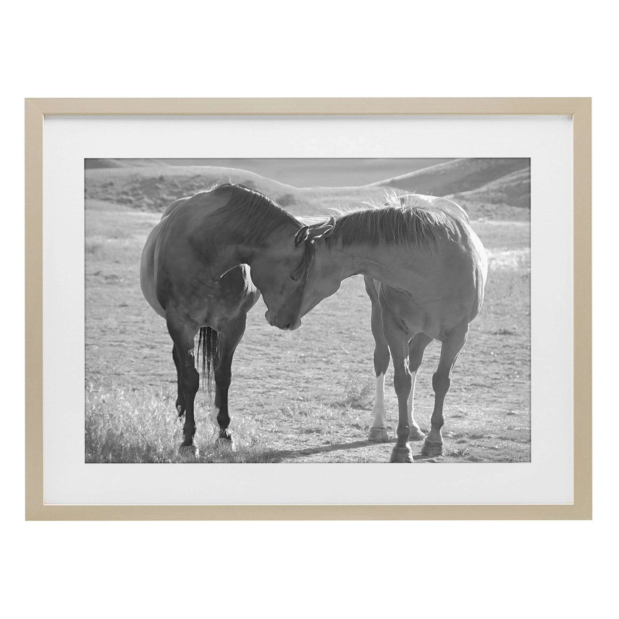 Stupell Industries Sweet Nothings Bond Between Horses Birch Framed Print Under Glass, design by Steve Toole