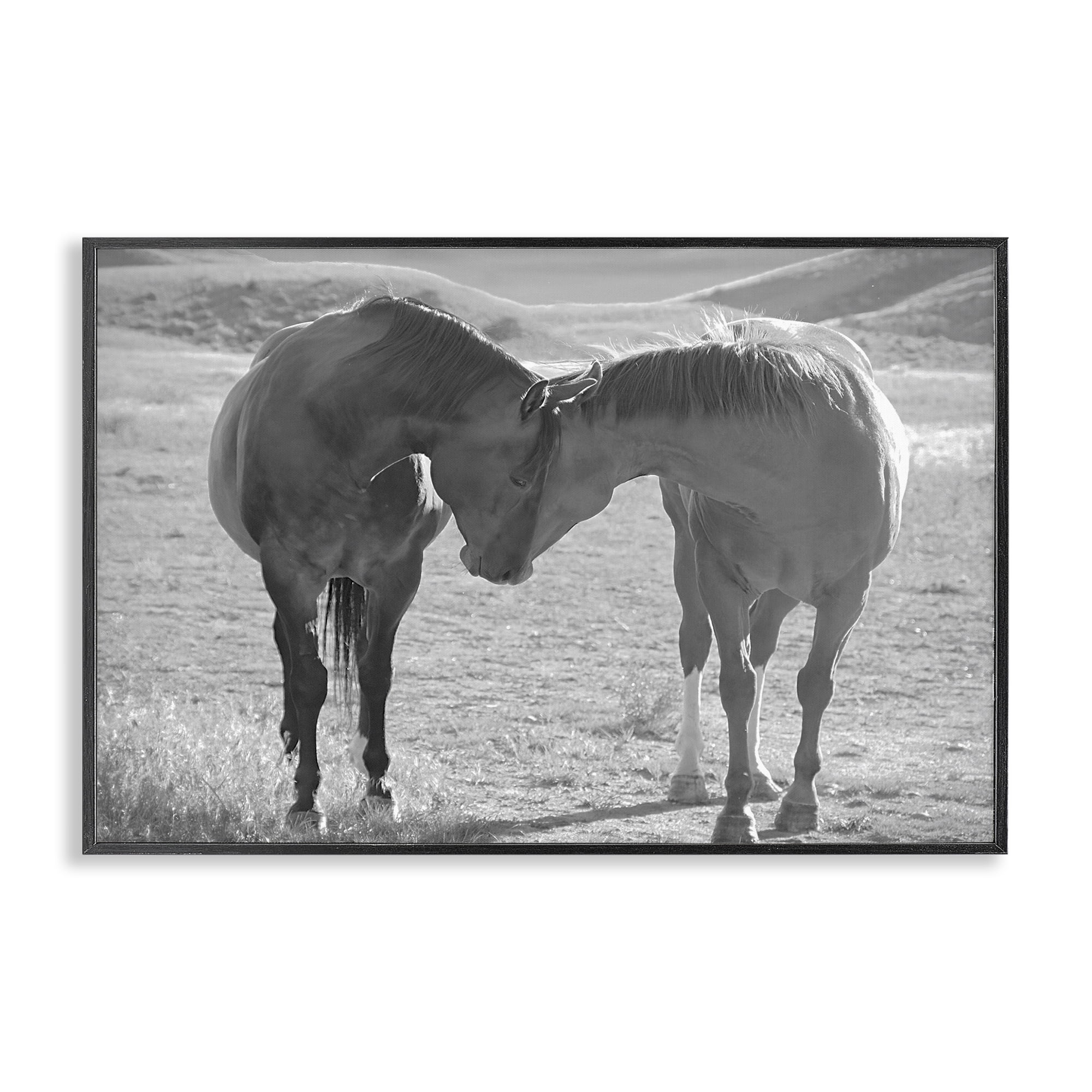 Stupell Industries Sweet Nothings Bond Between Horses Black Framed Giclee Art, design by Steve Toole