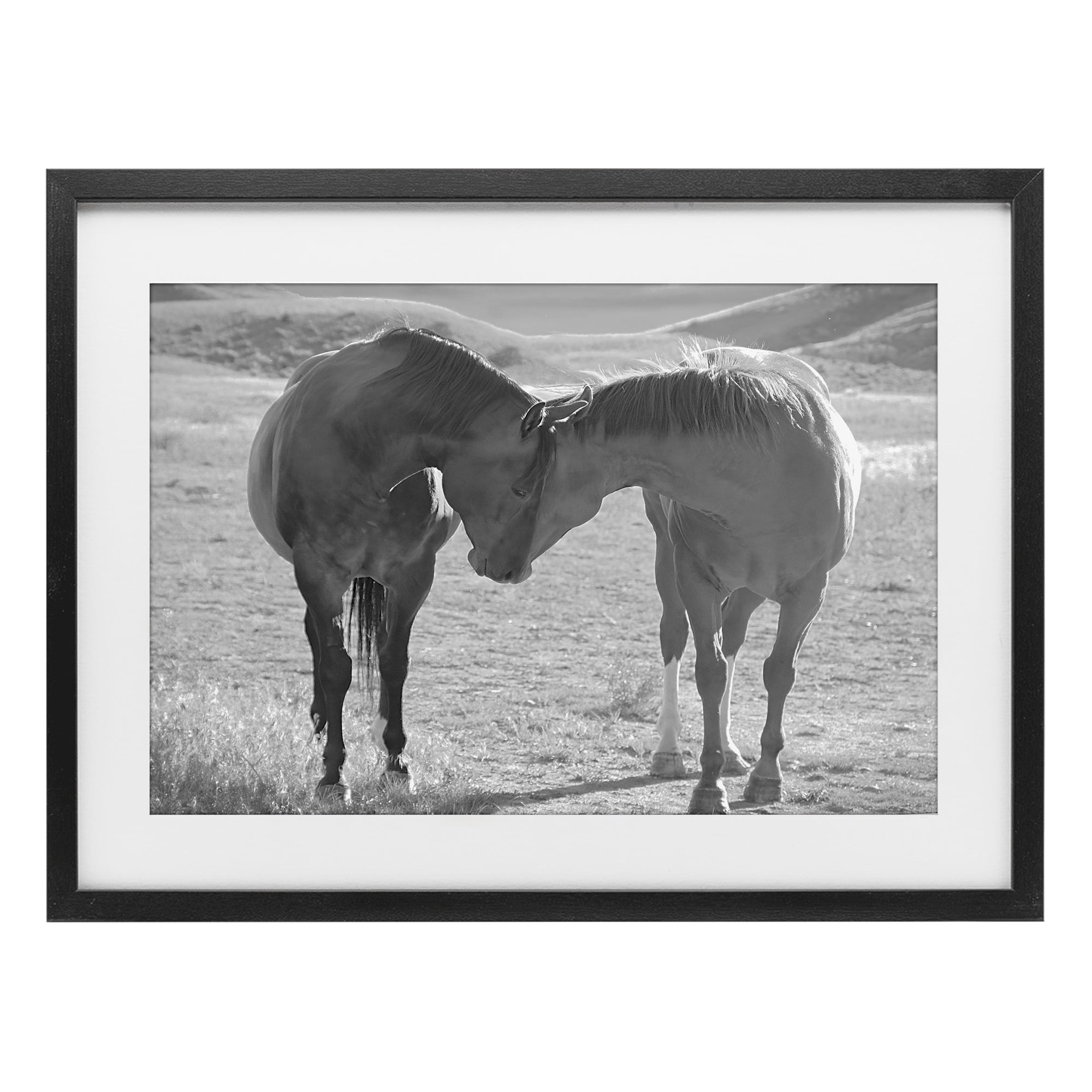 Stupell Industries Sweet Nothings Bond Between Horses Black Framed Print Under Glass, design by Steve Toole