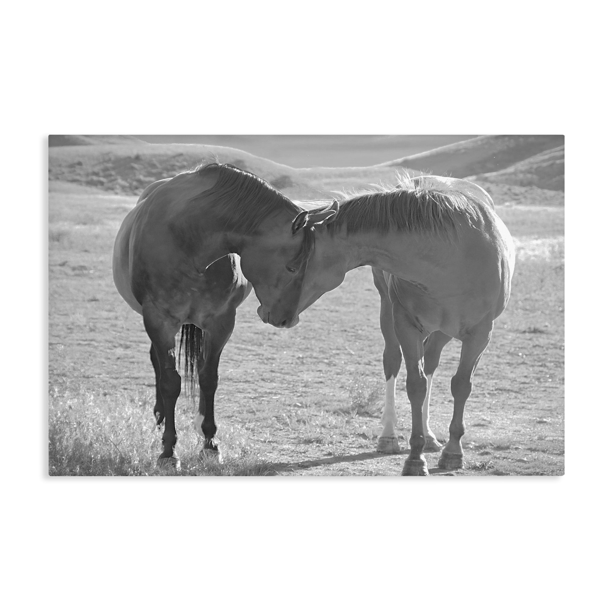 Stupell Industries Sweet Nothings Bond Between Horses Canvas Wall Art, design by Steve Toole
