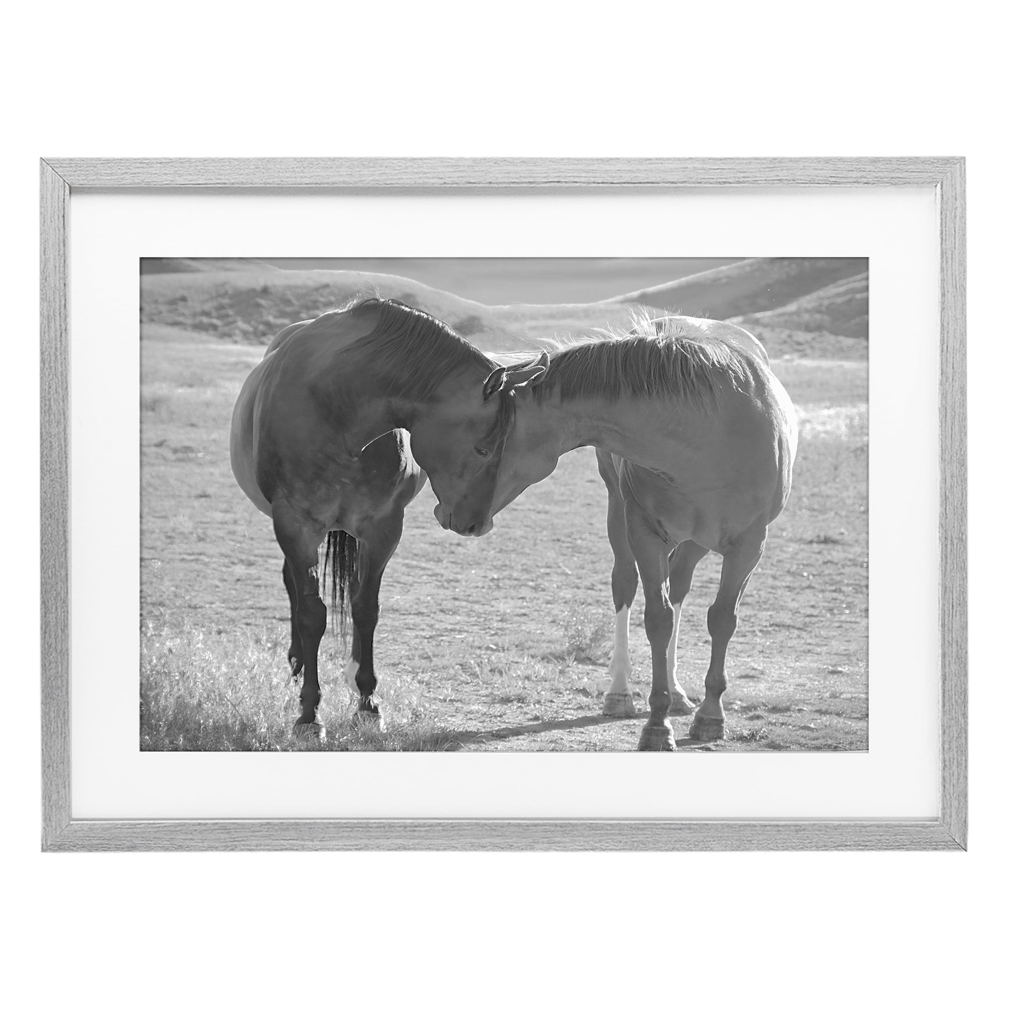 Stupell Industries Sweet Nothings Bond Between Horses Gray Framed Print Under Glass, design by Steve Toole