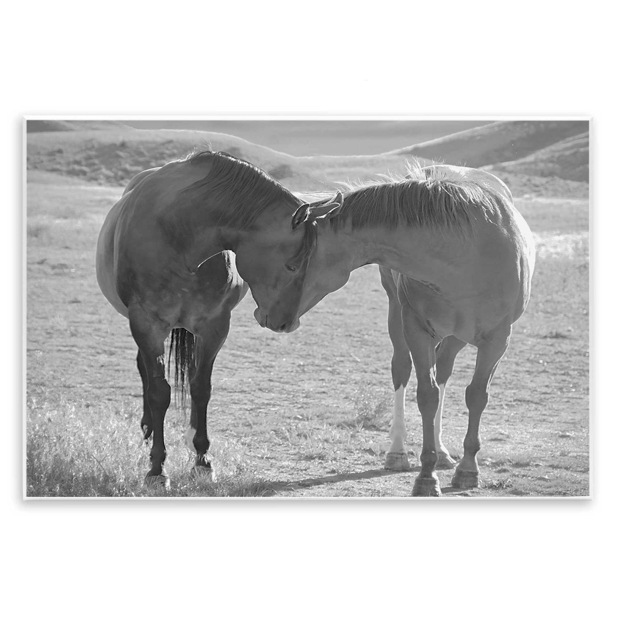 Stupell Industries Sweet Nothings Bond Between Horses Wall Plaque Art, design by Steve Toole