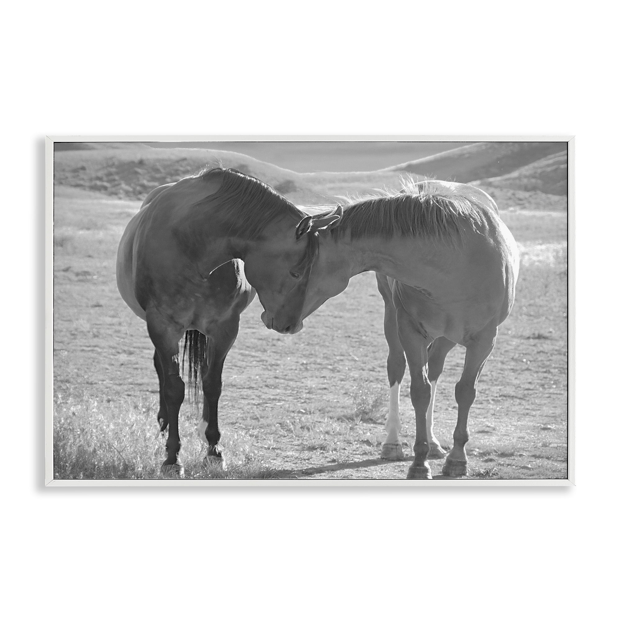 Stupell Industries Sweet Nothings Bond Between Horses White Framed Giclee Art, design by Steve Toole