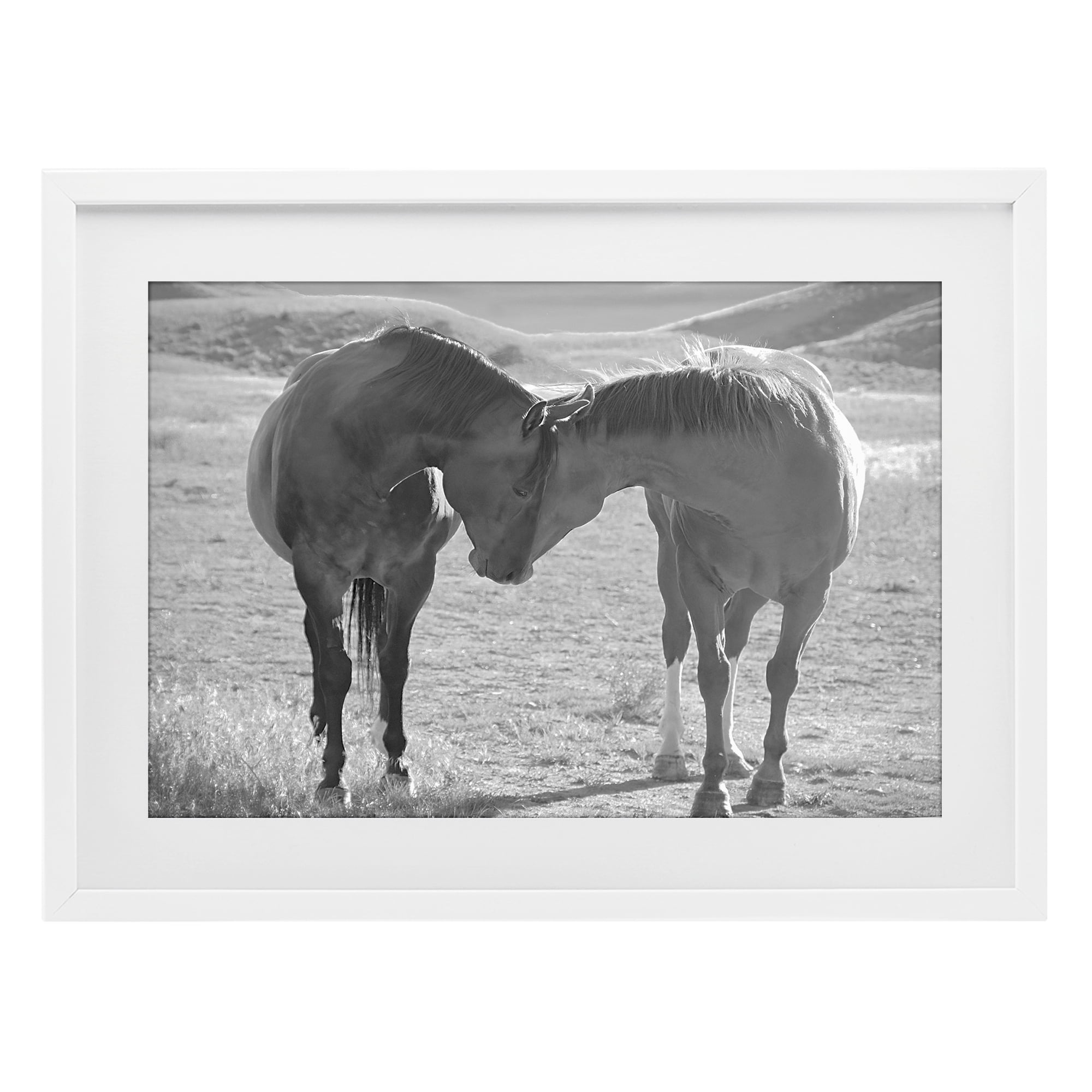 Stupell Industries Sweet Nothings Bond Between Horses White Framed Print Under Glass, design by Steve Toole