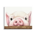 thumbnail image 1 of Stupell Industries Sweet Pink Pig Resting Snout Farm Animal Illustration Painting Gallery Wrapped Canvas Print Wall Art, Design by George Dyachenko, 1 of 7