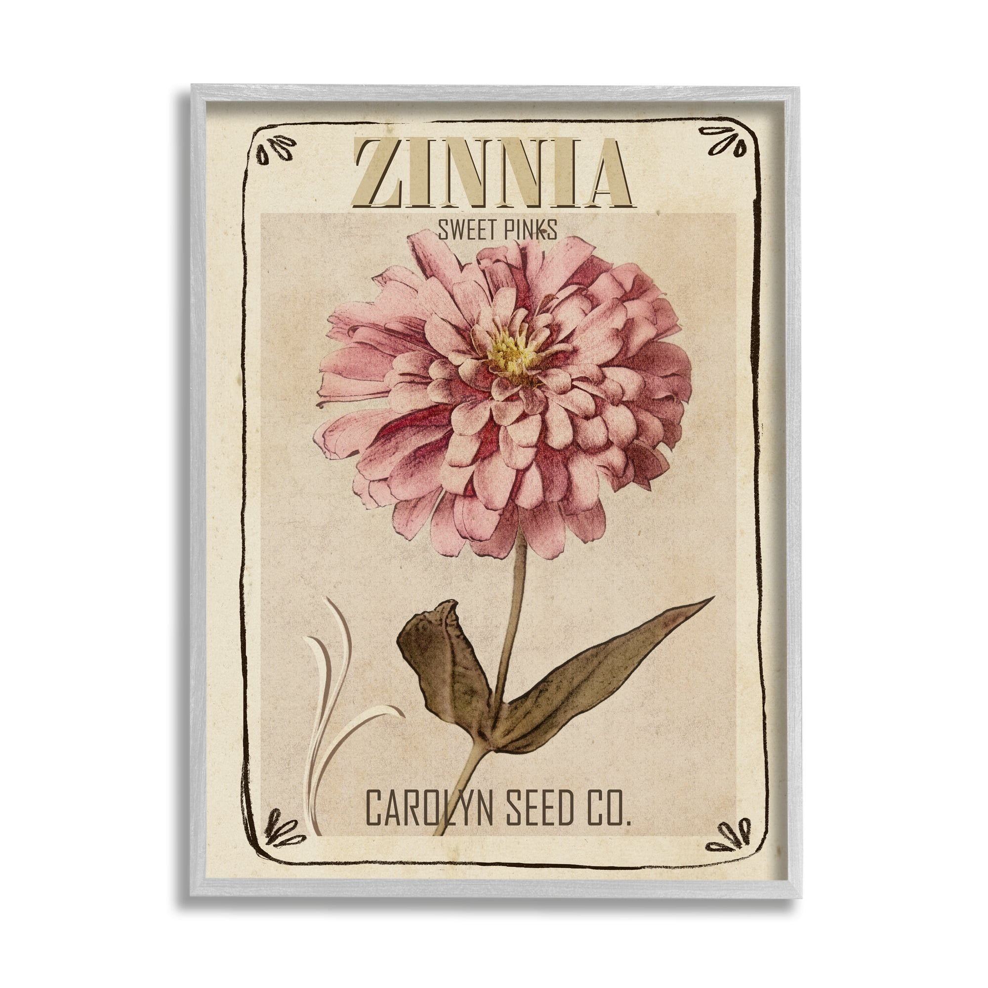 Stupell Industries Sweet Pink Zinnia Florals Vintage Seed Packet, 16 x 20, Design by Studio W