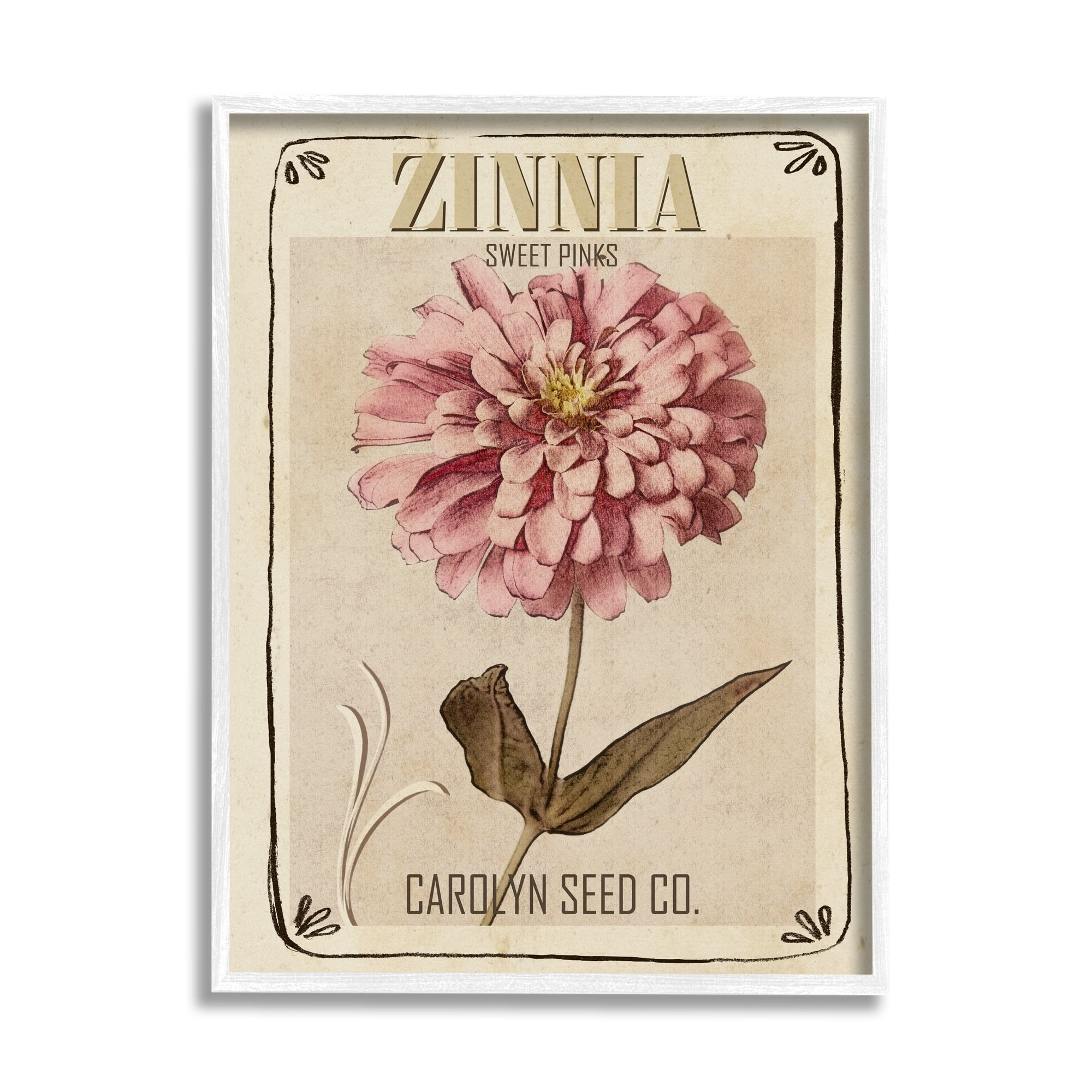 Stupell Industries Sweet Pink Zinnia Florals Vintage Seed Packet, 24 x 30, Design by Studio W