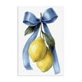 thumbnail image 1 of Stupell Industries Shabby Chic Sweet & Sour Lemons Canvas Art, 16 x 24, by Petals Prints Design, 1 of 8