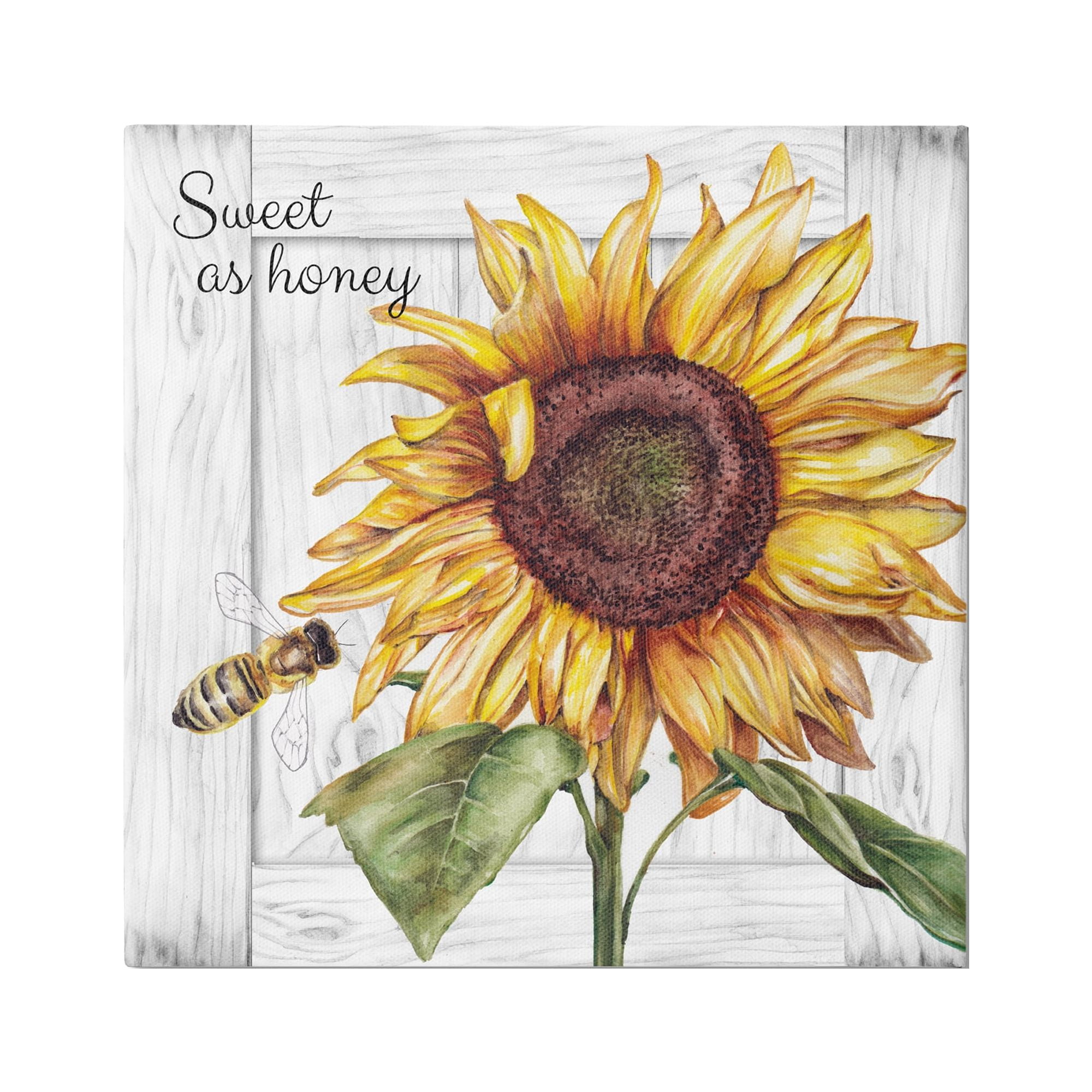 Stupell Industries Sweet as Honey Sunflower Botanical & Floral Painting Gallery Wrapped Canvas Art Print Wall Art, 36 x 36