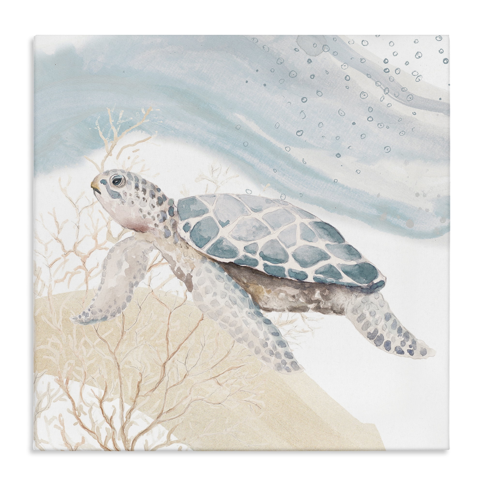 Stupell Industries Swimming Aquatic Turtle Animals & Insects Painting Gallery Wrapped Canvas Art Print Wall Art, 30 x 30