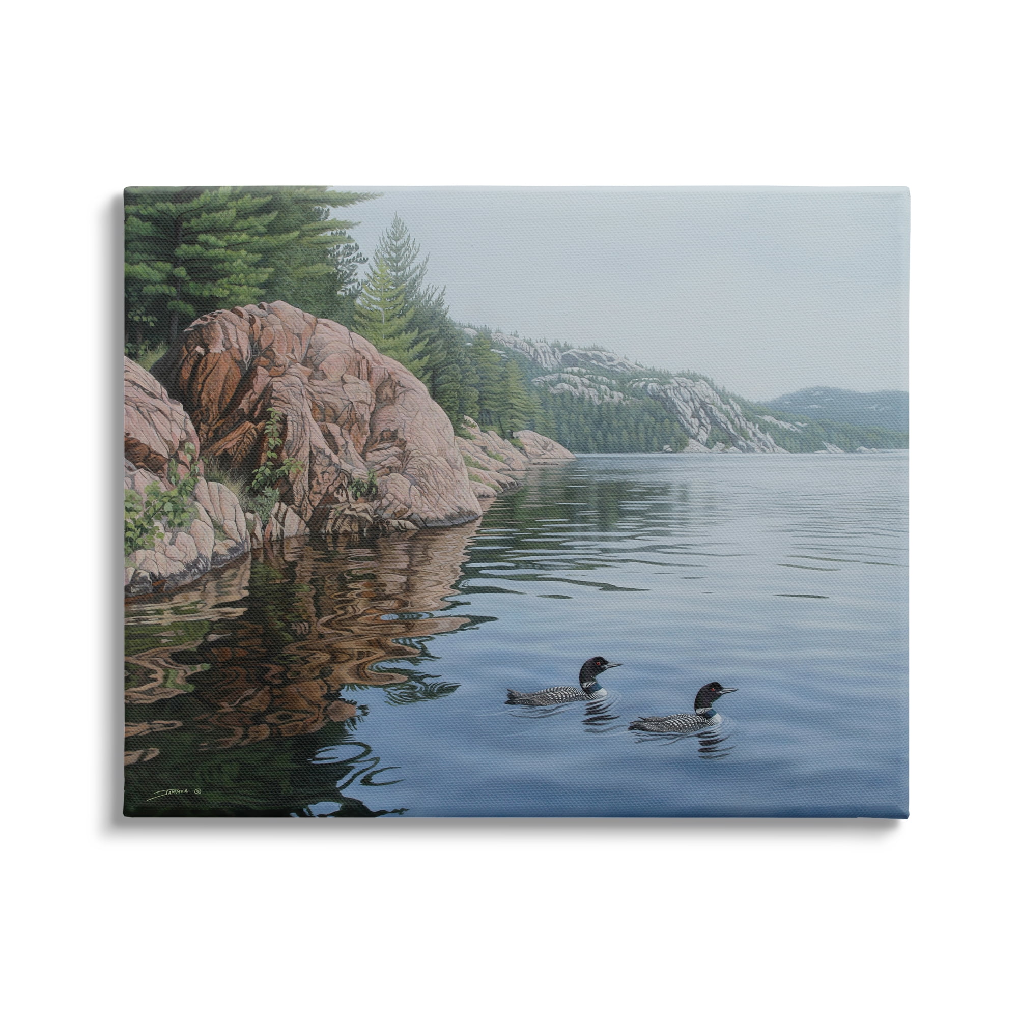 Serene Landscape with Swimming Ducks Canvas Print, 20 x 16