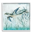 thumbnail image 1 of Stupell Industries Swimming Sea Turtle Animals & Insects Painting White Framed Art Print Wall Art, 12 x 12, 1 of 9