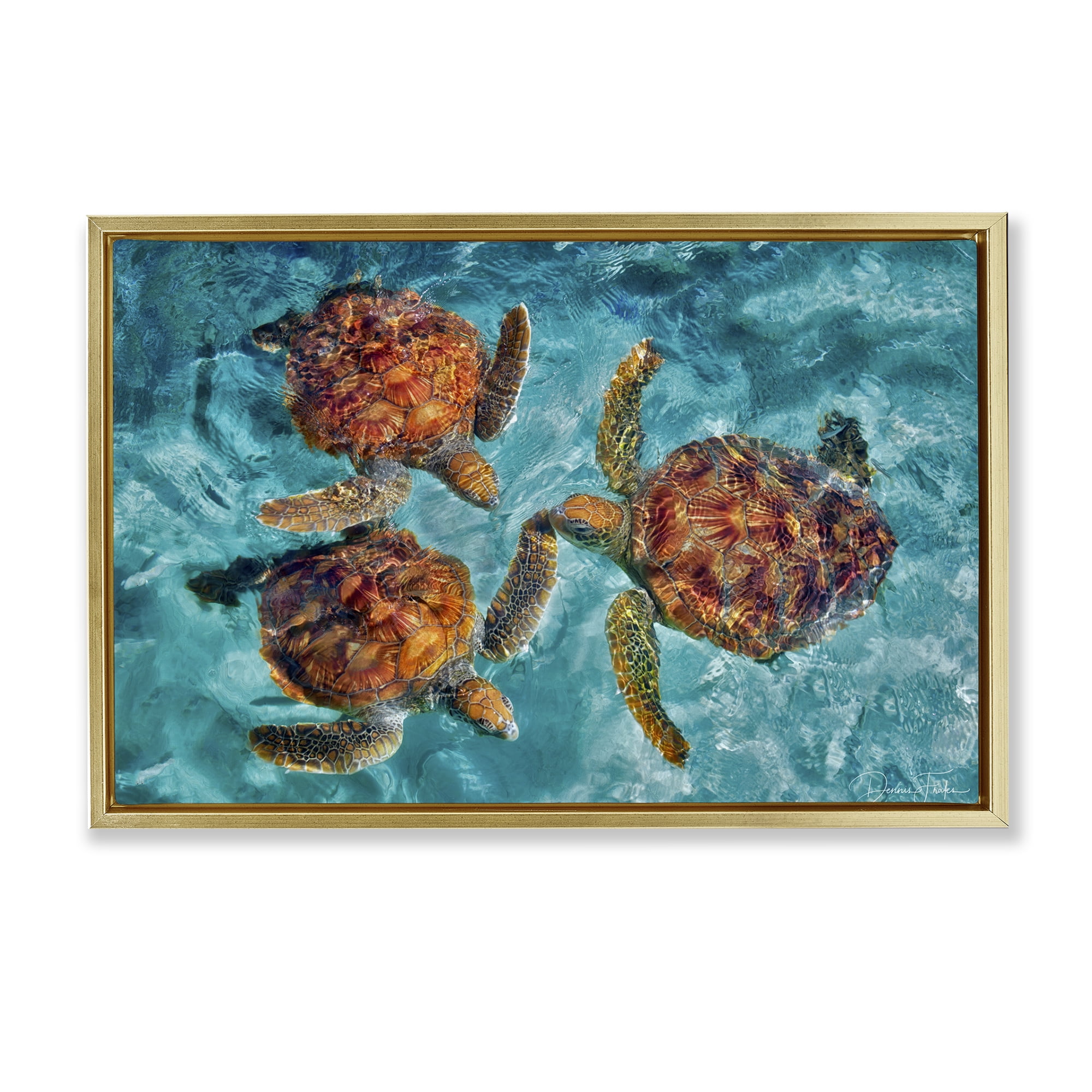 Stupell Industries Swimming Tortoise Trio Animals & Insects Painting Gold Floater Framed Canvas Art Print Wall Art, 25 x 17