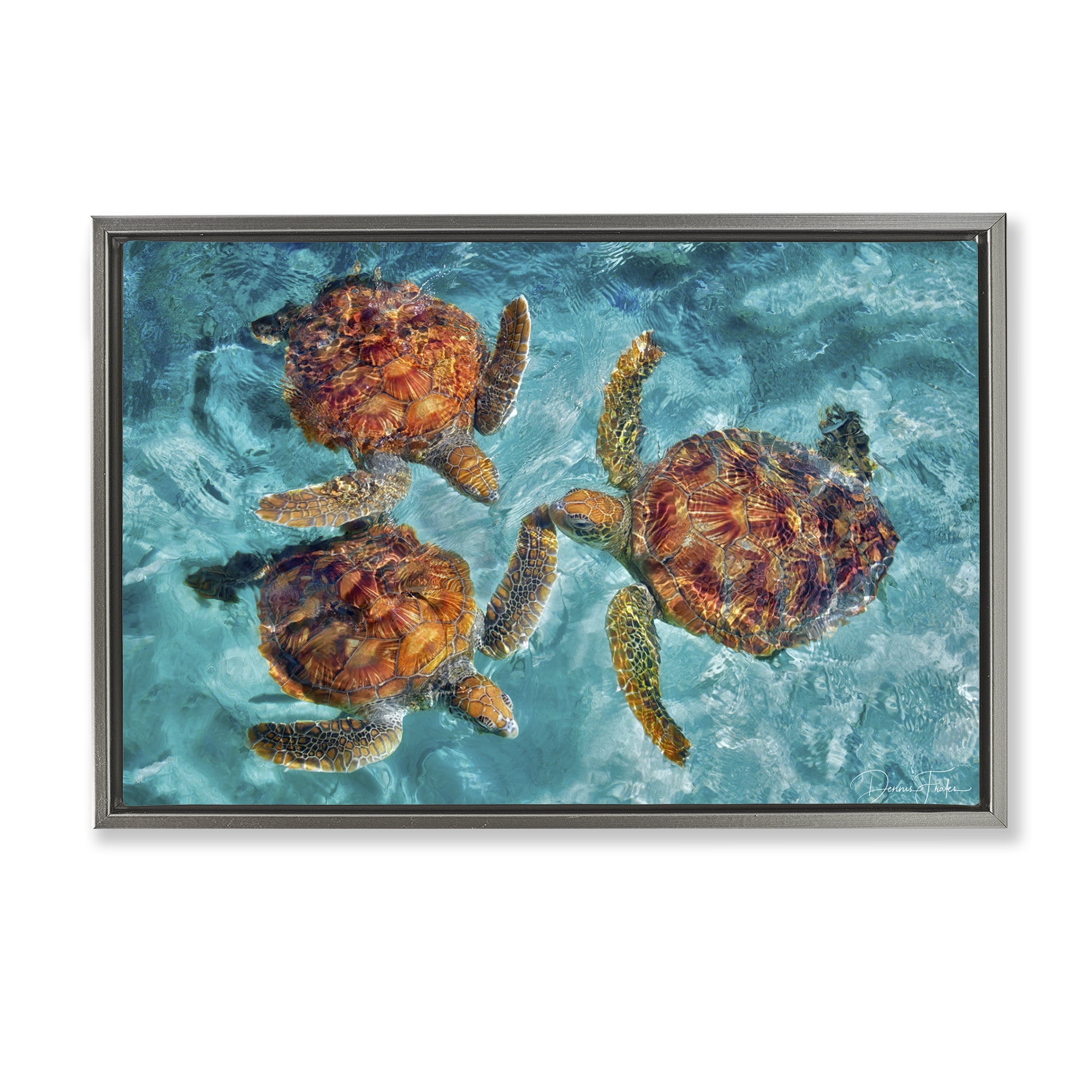 Stupell Industries Swimming Tortoise Trio Animals & Insects Painting Gray Floater Framed Canvas Art Print Wall Art, 31 x 21