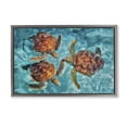 thumbnail image 1 of Stupell Industries Swimming Tortoise Trio Animals & Insects Painting Gray Floater Framed Canvas Art Print Wall Art, 31 x 21, 1 of 10