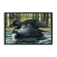 thumbnail image 1 of Stupell Industries Swimming Woodland Loon Animals Painting Black Framed Art Print Wall Art, 24 x 16, 1 of 2