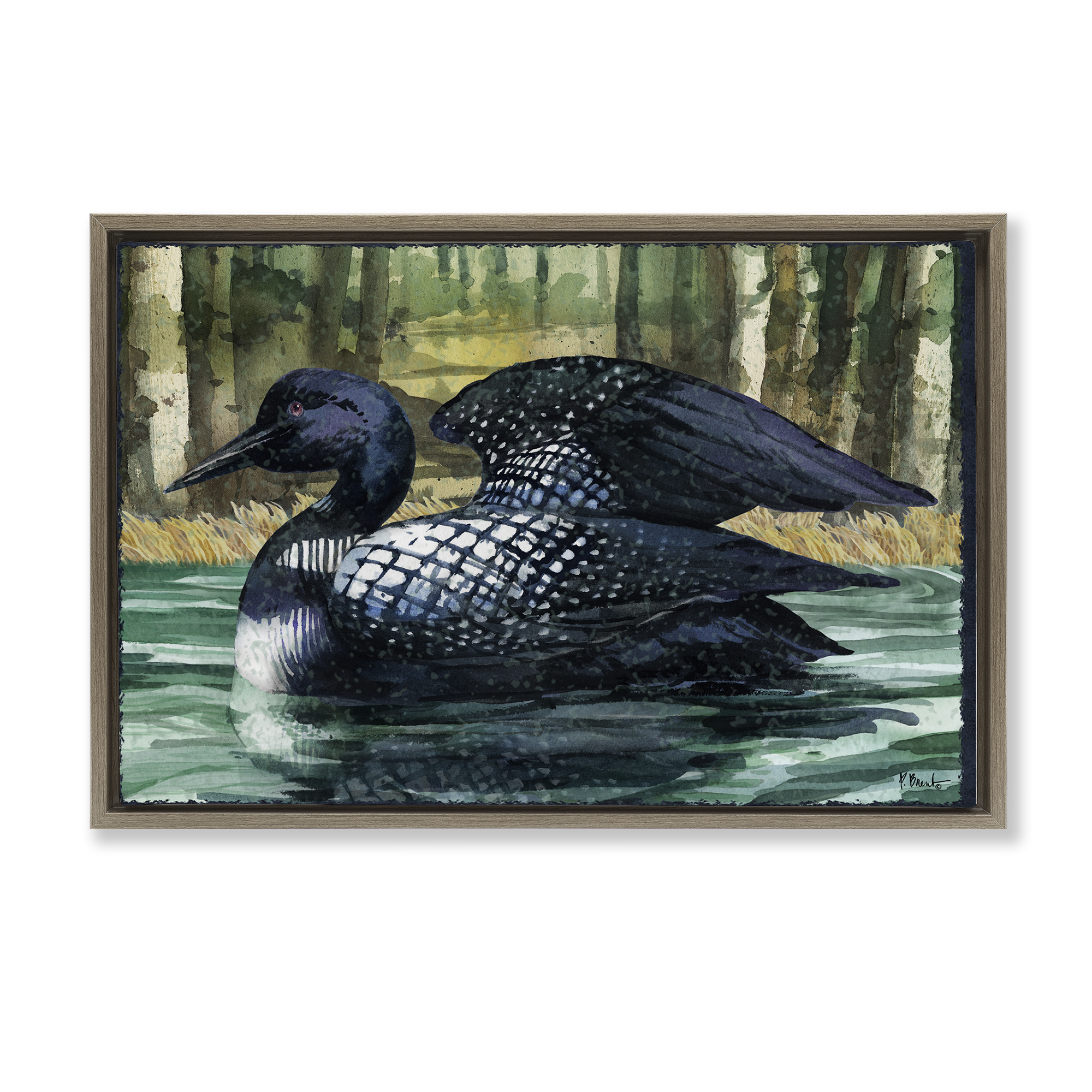 Stupell Industries Swimming Woodland Loon Animals Painting Brown Floater Framed Canvas Art Print Wall Art, 31 x 21