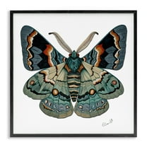 Stupell Industries Symbol Of Change Moth Animals Painting Black Framed Art Print Wall Art, 12 x 12