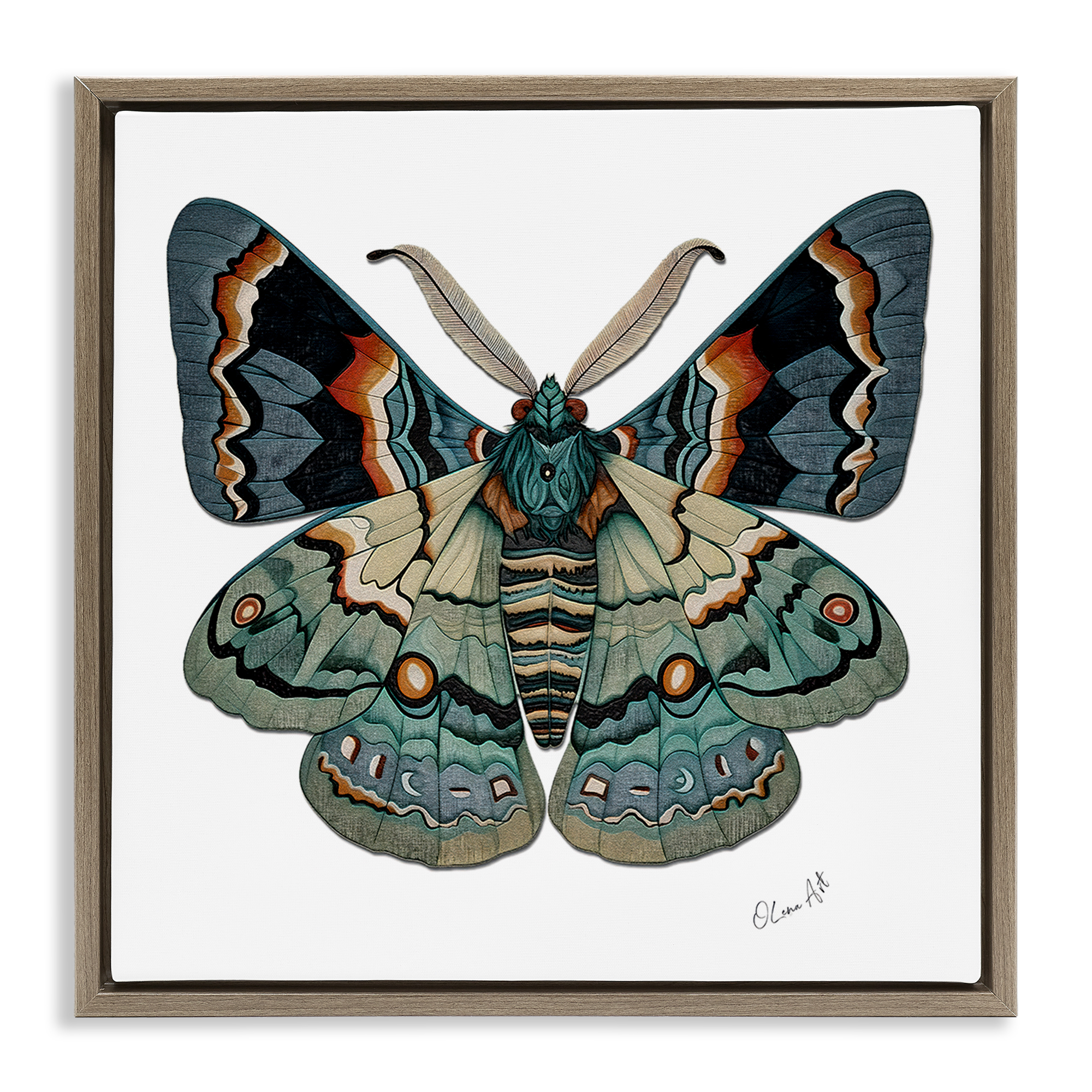Stupell Industries Symbol Of Change Moth Animals Painting Brown Floater Framed Canvas Art Print Wall Art, 18 x 18