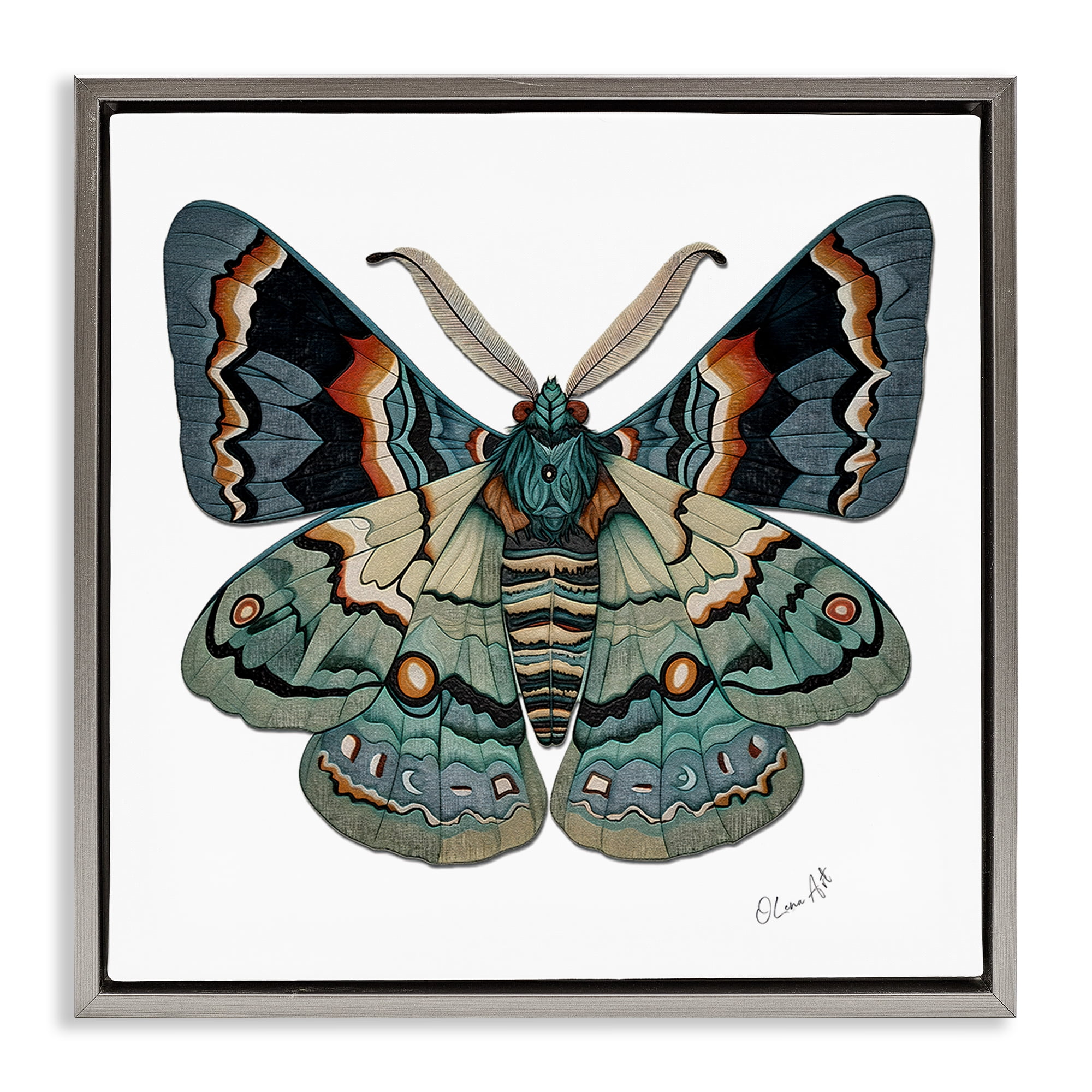 Stupell Industries Symbol Of Change Moth Animals Painting Gray Floater Framed Canvas Art Print Wall Art, 18 x 18