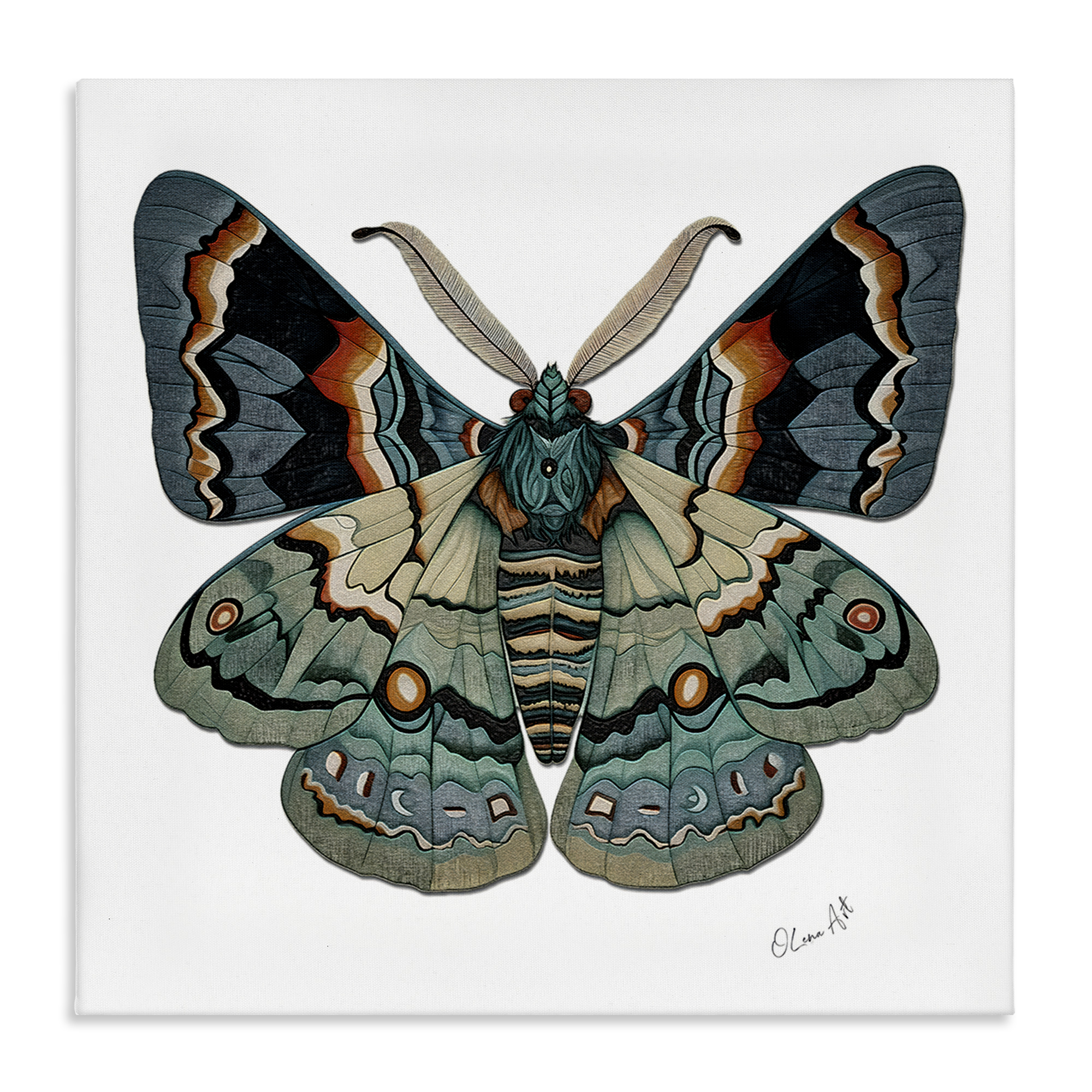 Stupell Industries Symbol Of Change Moth Animals Painting Wrapped Canvas Art Print Wall Art, 24 x 24