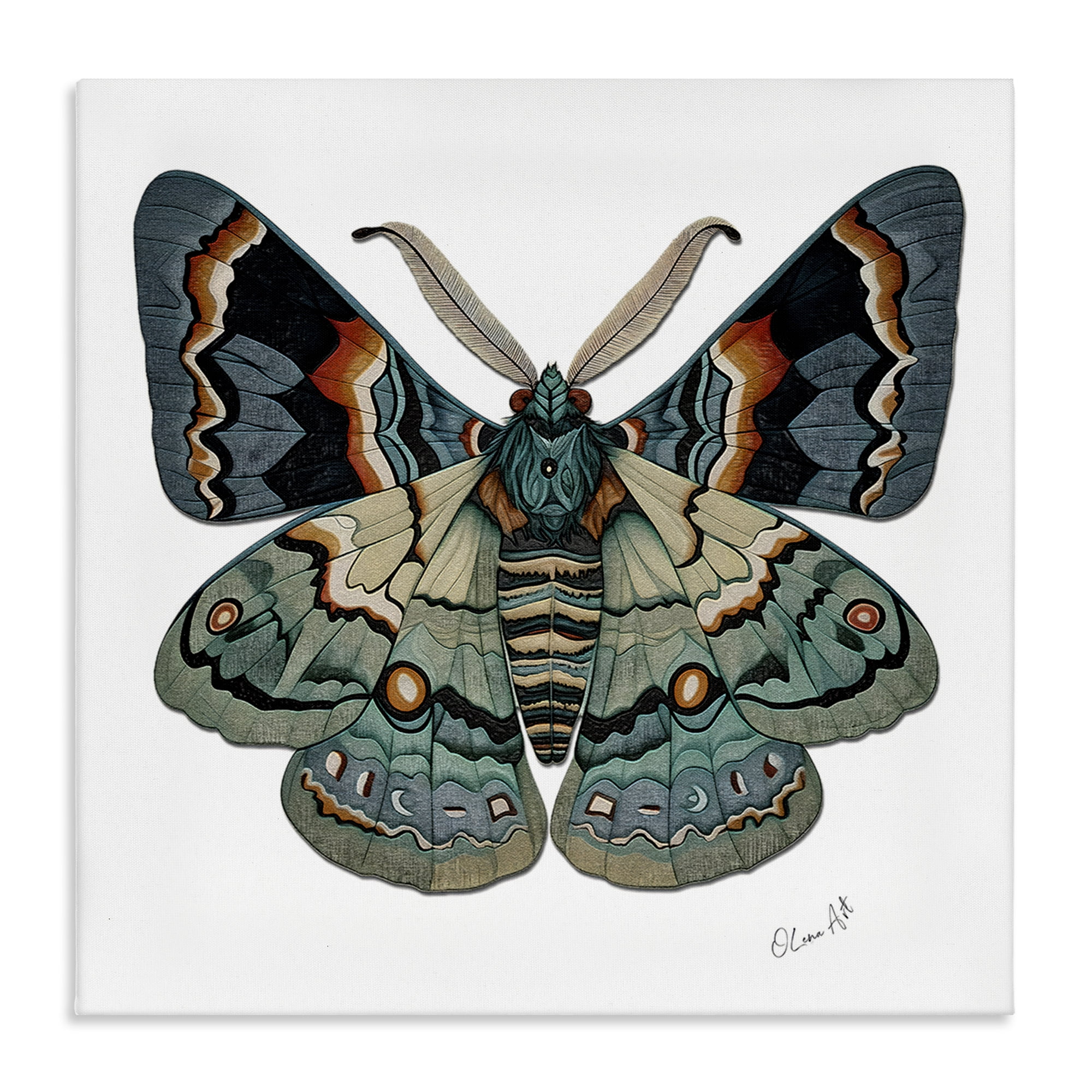 Stupell Industries Symbol Of Change Moth Animals Painting Wrapped Canvas Art Print Wall Art, 30 x 30