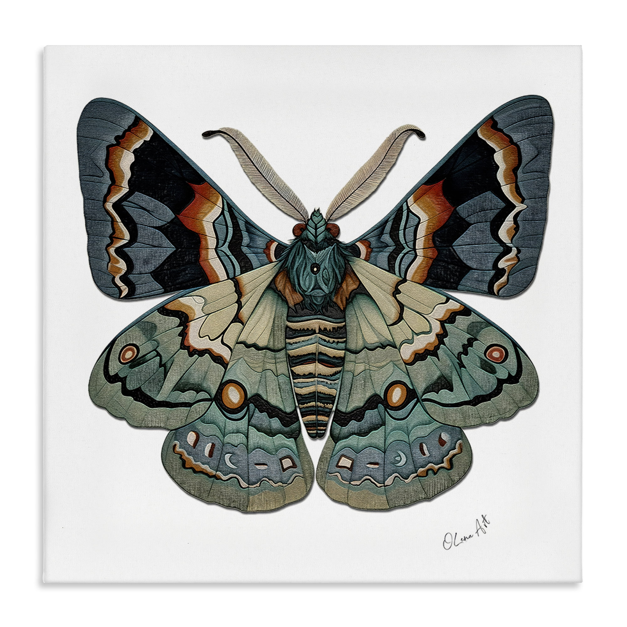 Stupell Industries Symbol Of Change Moth Animals Painting Wrapped Canvas Art Print Wall Art, 36 x 36