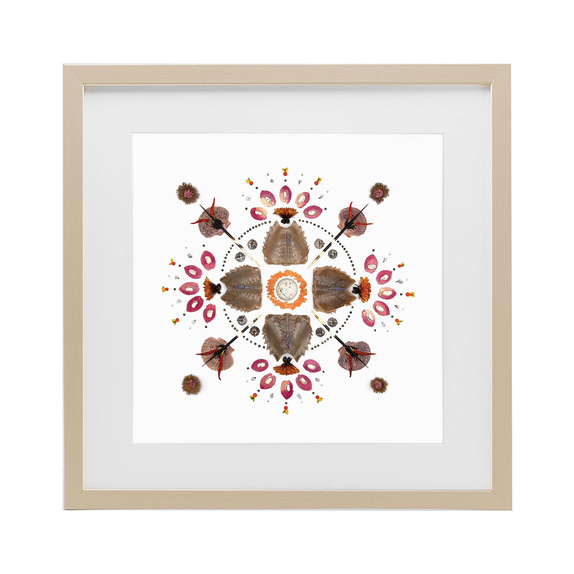Stupell Industries Symmetrical Nautical Collection Birch Framed Print Under Glass, design by Beth Adoette