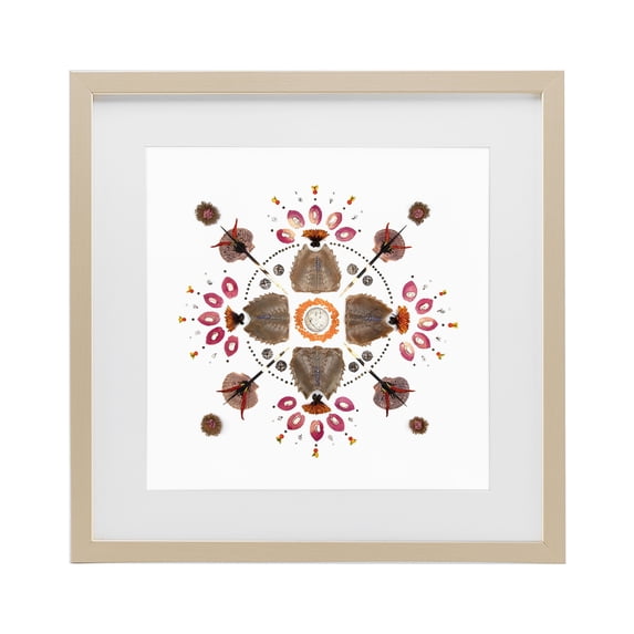 Stupell Industries Eclectic Symmetrical Nautical Collection Birch Framed Print Under Glass, 13 x 13, by Beth Adoette