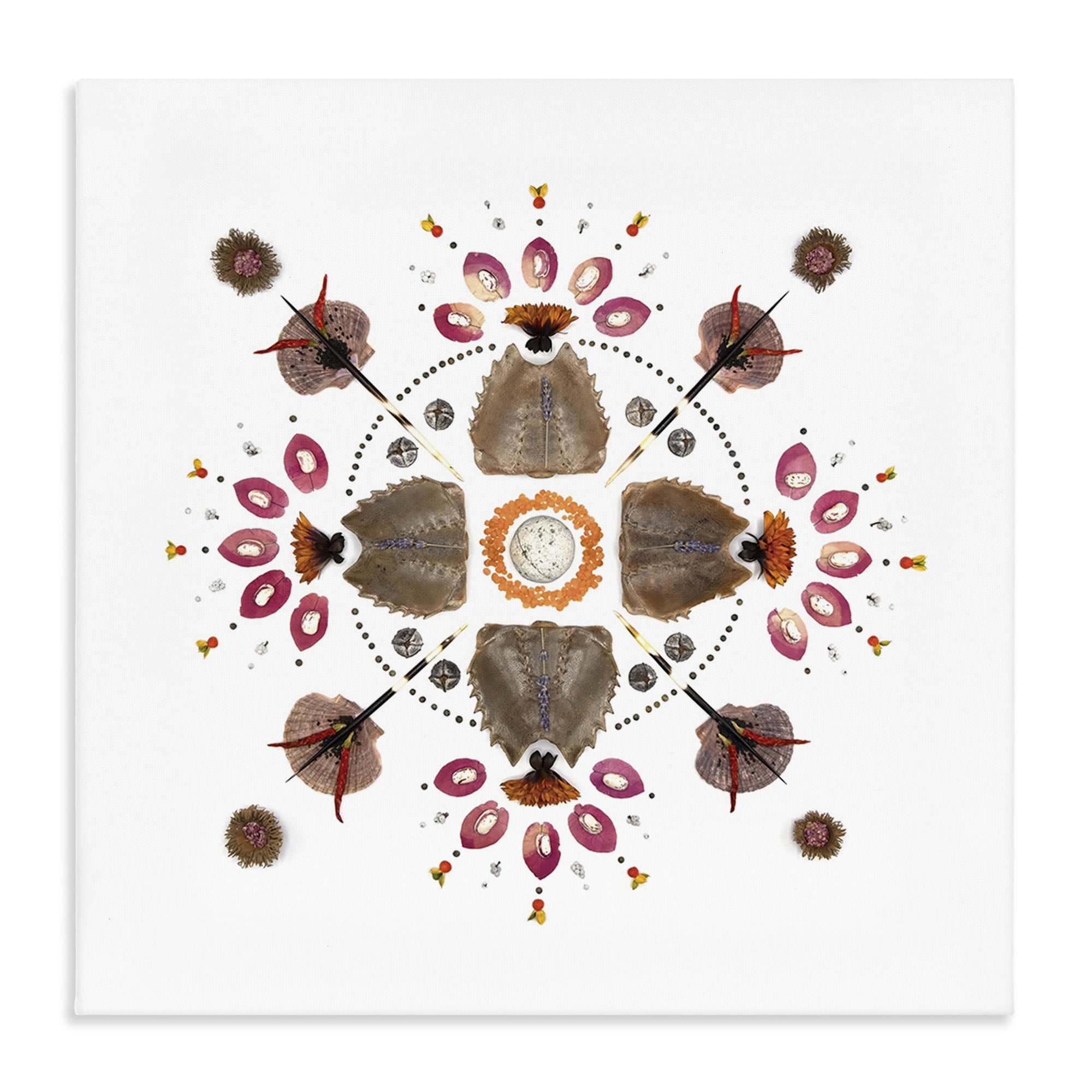 Stupell Industries Symmetrical Nautical Collection Canvas Wall Art, design by Beth Adoette