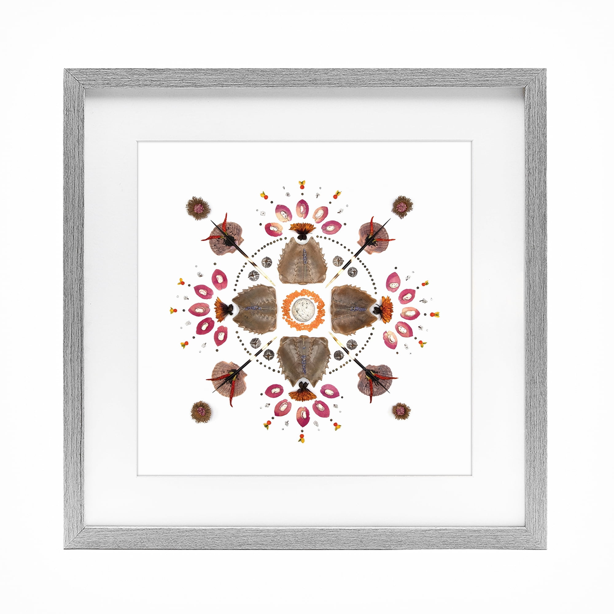 Stupell Industries Symmetrical Nautical Collection Gray Framed Print Under Glass, design by Beth Adoette
