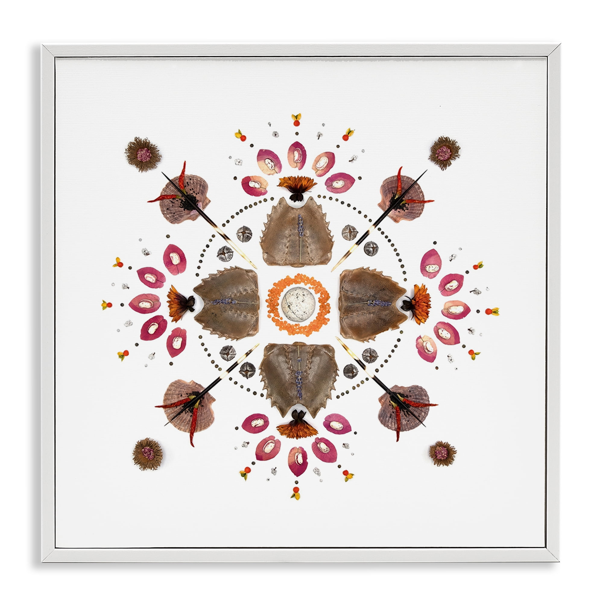 Stupell Industries Symmetrical Nautical Collection White Framed Giclee Art, design by Beth Adoette