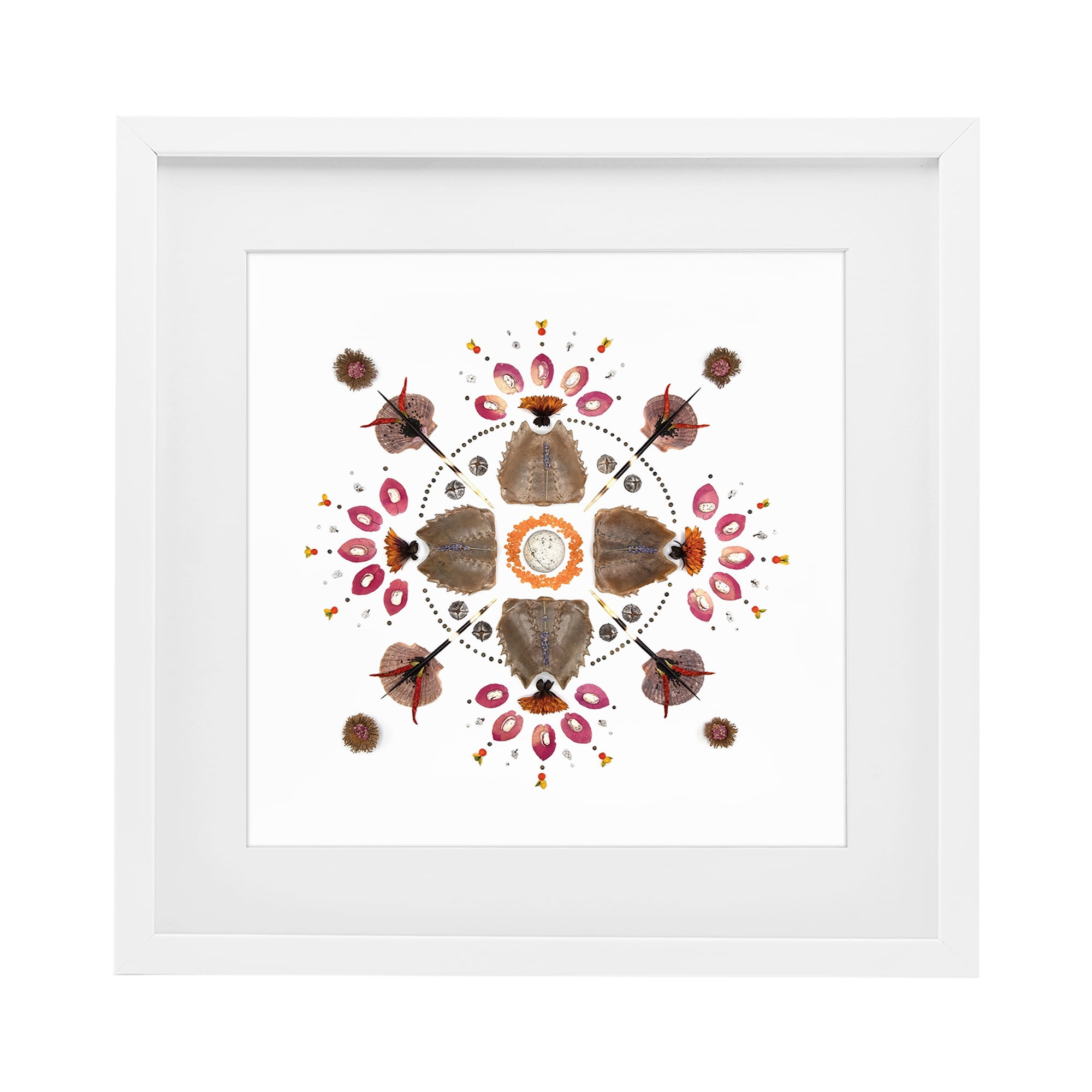 Stupell Industries Symmetrical Nautical Collection White Framed Print Under Glass, design by Beth Adoette