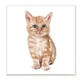 thumbnail image 1 of Stupell Industries Tabby Cat Kitten Watercolor Portrait Nursery Animal, 12 x 12,Design by Fox Hollow Studios, 1 of 5