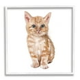 thumbnail image 1 of Stupell Industries Tabby Cat Kitten Watercolor Portrait Nursery Animal, 24 x 24,Design by Fox Hollow Studios, 1 of 5