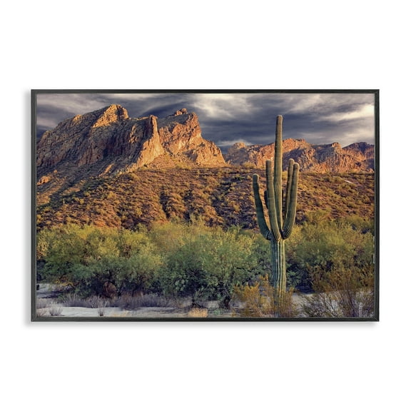 Stupell Industries Tall And Strong Cactus View Black Framed Giclee Art design by Mike Jones, 12 x 18