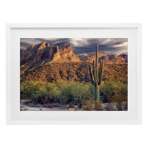 Stupell Industries Tall And Strong Cactus View White Framed Print Under Glass design by Mike Jones, 14 x 20