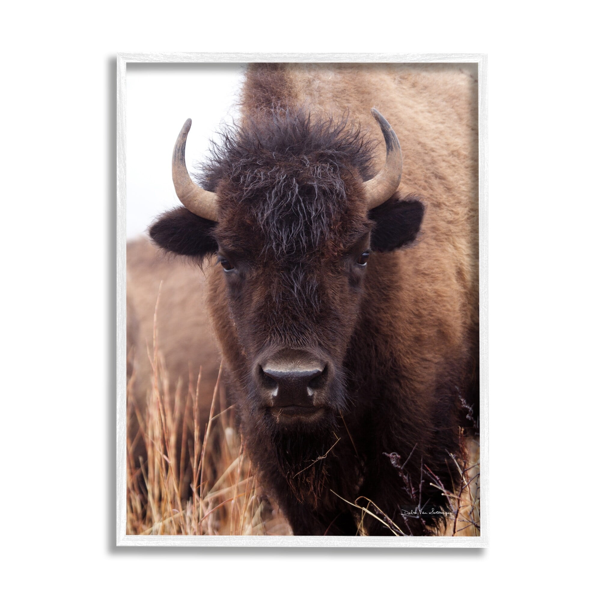 Stupell Industries Tall Grass Bison Portrait Country Cattle Autumn Photography, 24 x 30,Design by Debra Van Swearingen