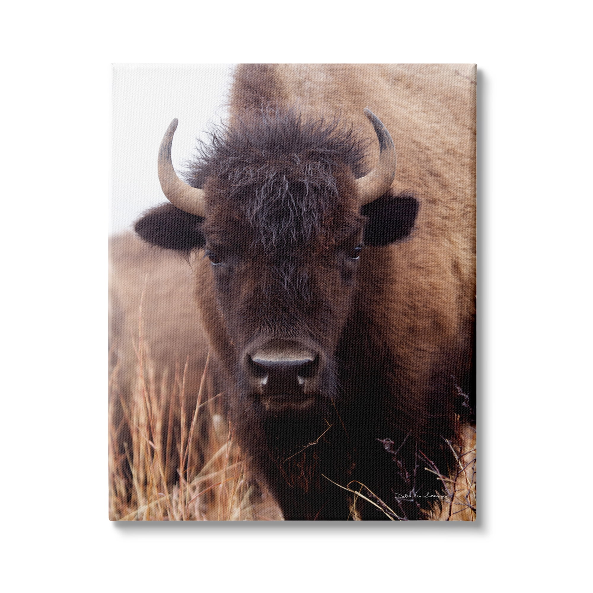 Stupell Industries Tall Grass Bison Portrait Country Cattle Autumn Photography, 36 x 48,Design by Debra Van Swearingen
