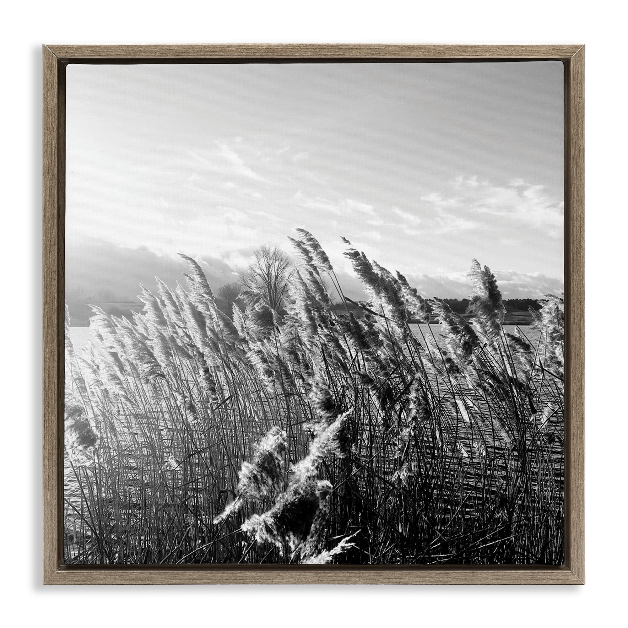 Stupell Industries Tall Grass Lake Water Landscape Landscape Photography Brown Floater Framed Canvas Art Print Wall Art, 18 x 18