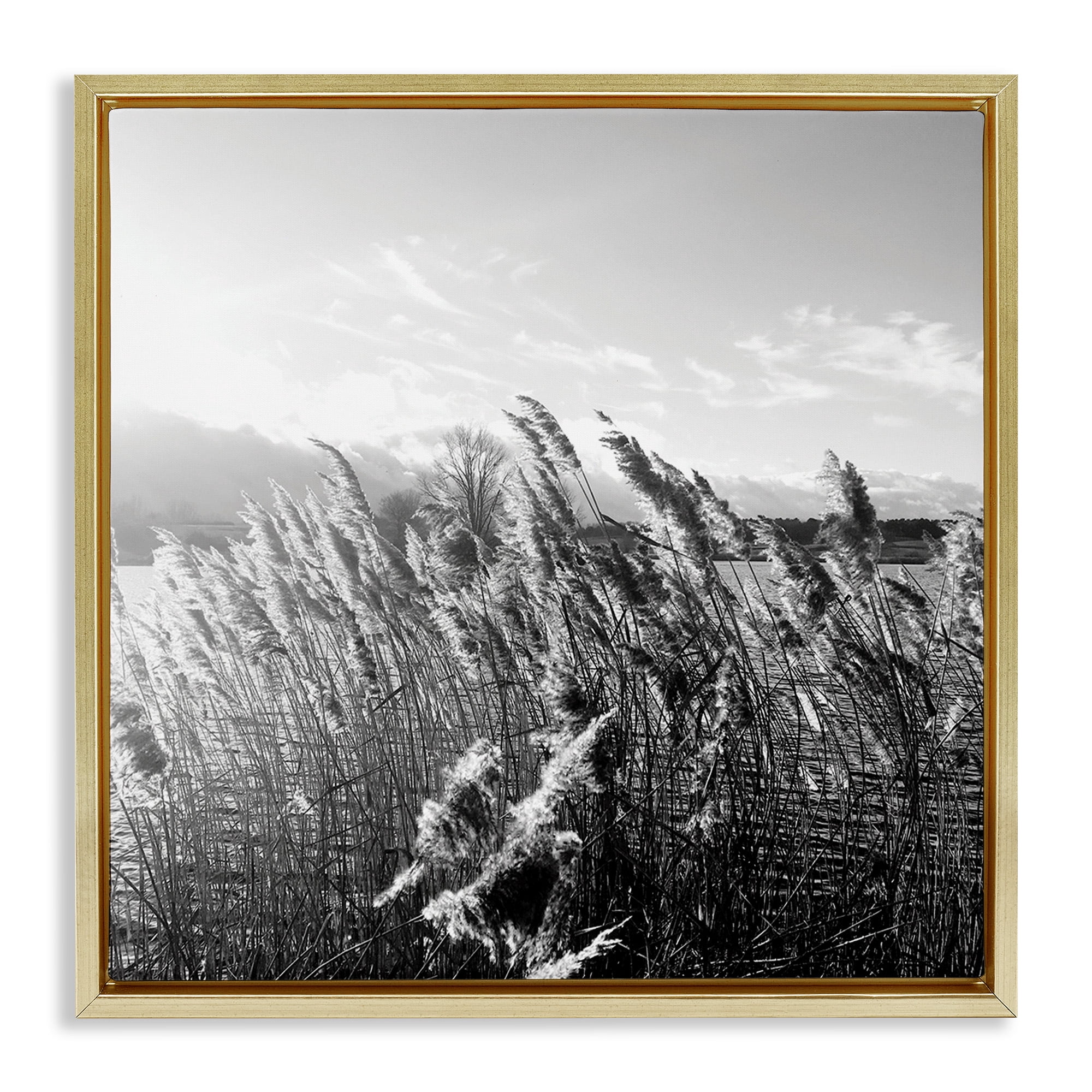 Stupell Industries Tall Grass Lake Water Landscape Landscape Photography Gold Floater Framed Canvas Art Print Wall Art, 18 x 18