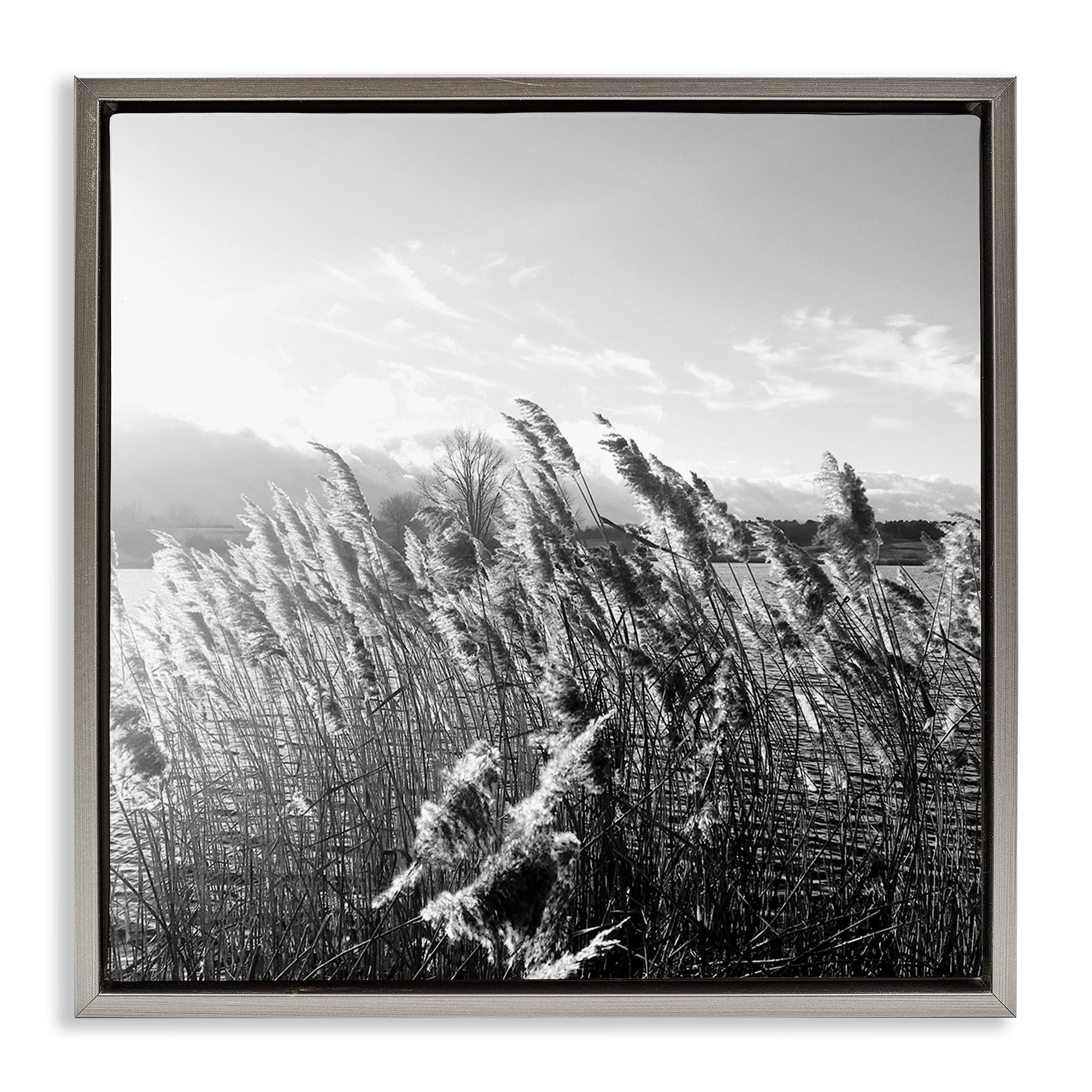 Stupell Industries Tall Grass Lake Water Landscape Landscape Photography Gray Floater Framed Canvas Art Print Wall Art, 18 x 18