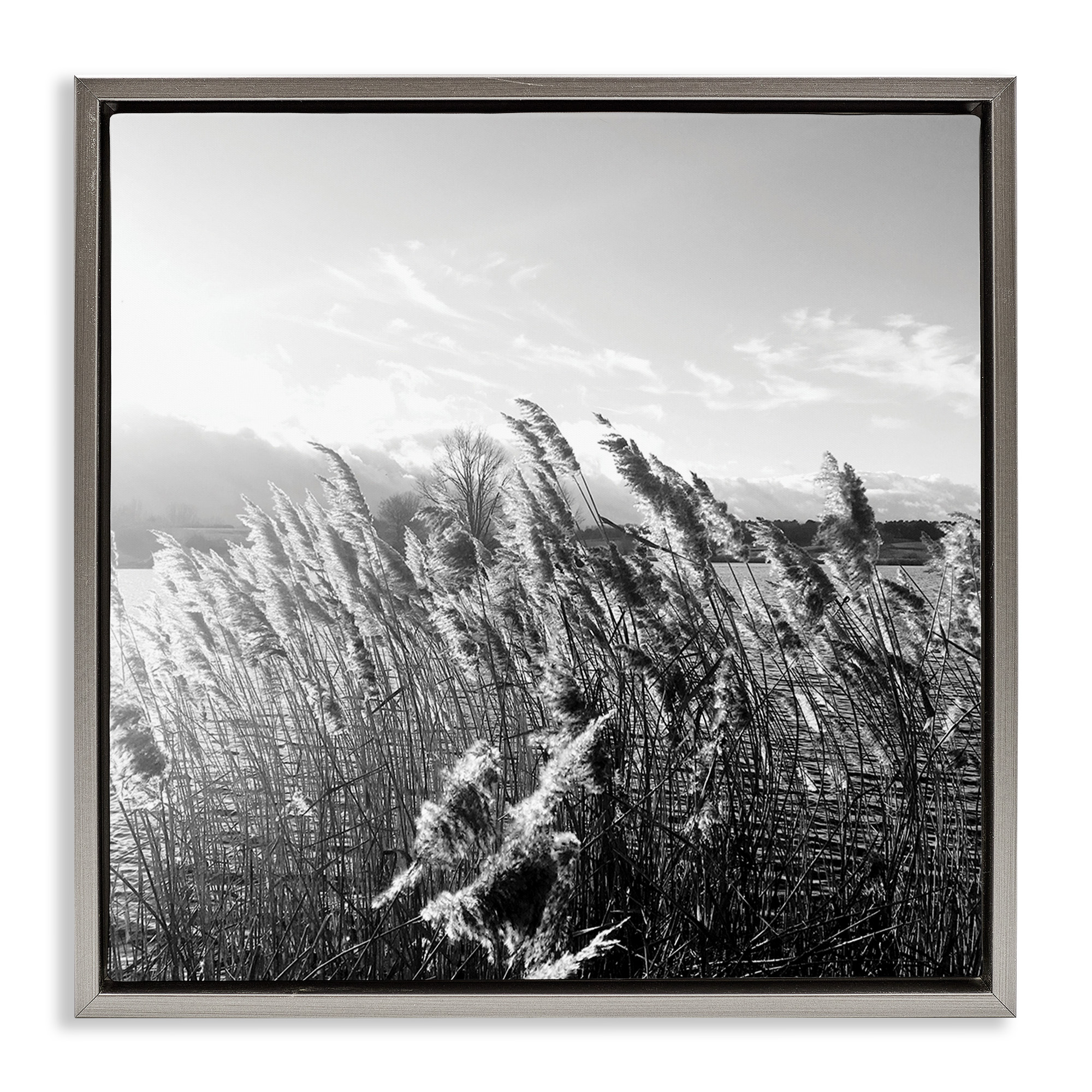 Stupell Industries Tall Grass Lake Water Landscape Landscape Photography Gray Floater Framed Canvas Art Print Wall Art, 25 x 25