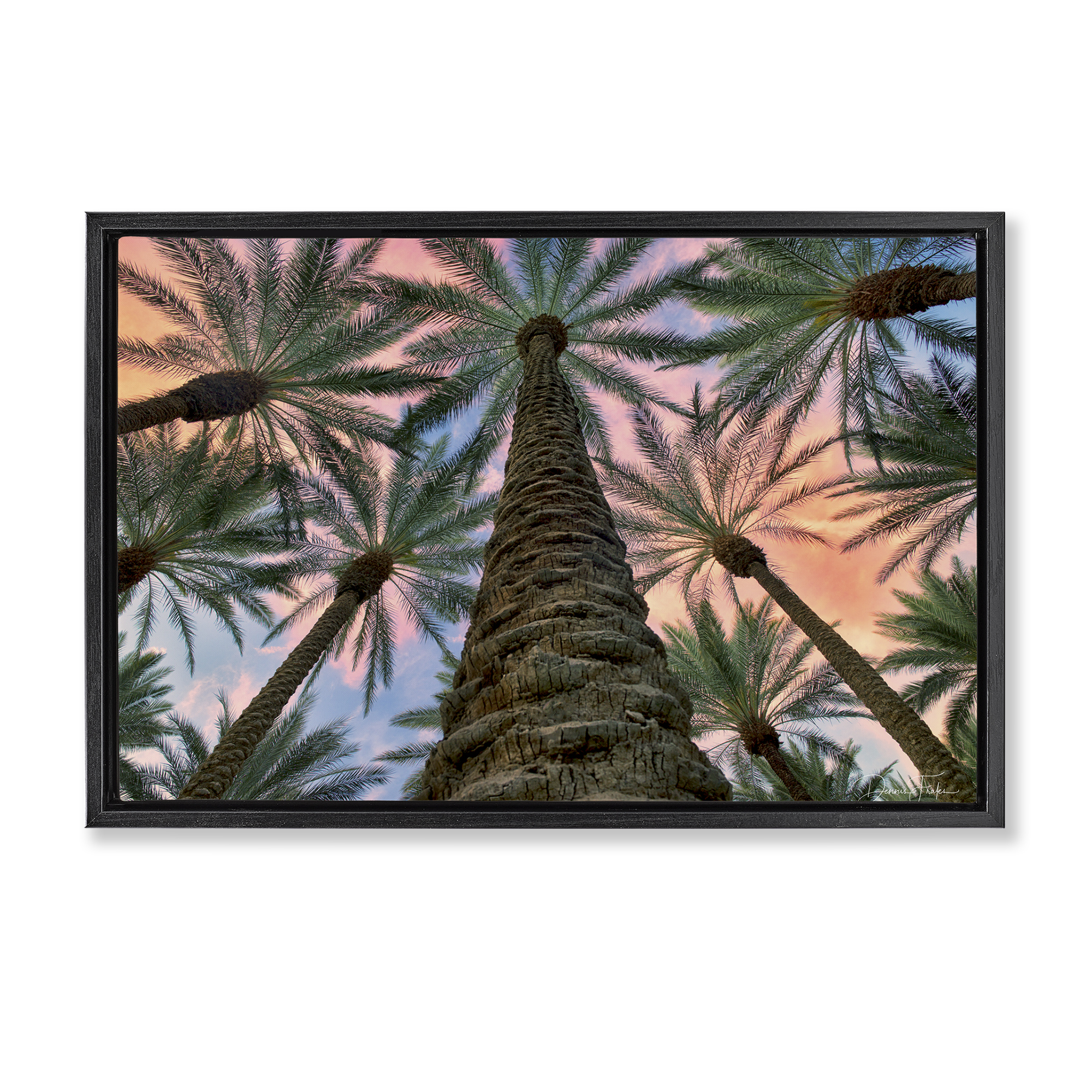 Stupell Industries Tall Overhead Palms Plants & Flowers Photography Black Floater Framed Canvas Art Print Wall Art, 31 x 21